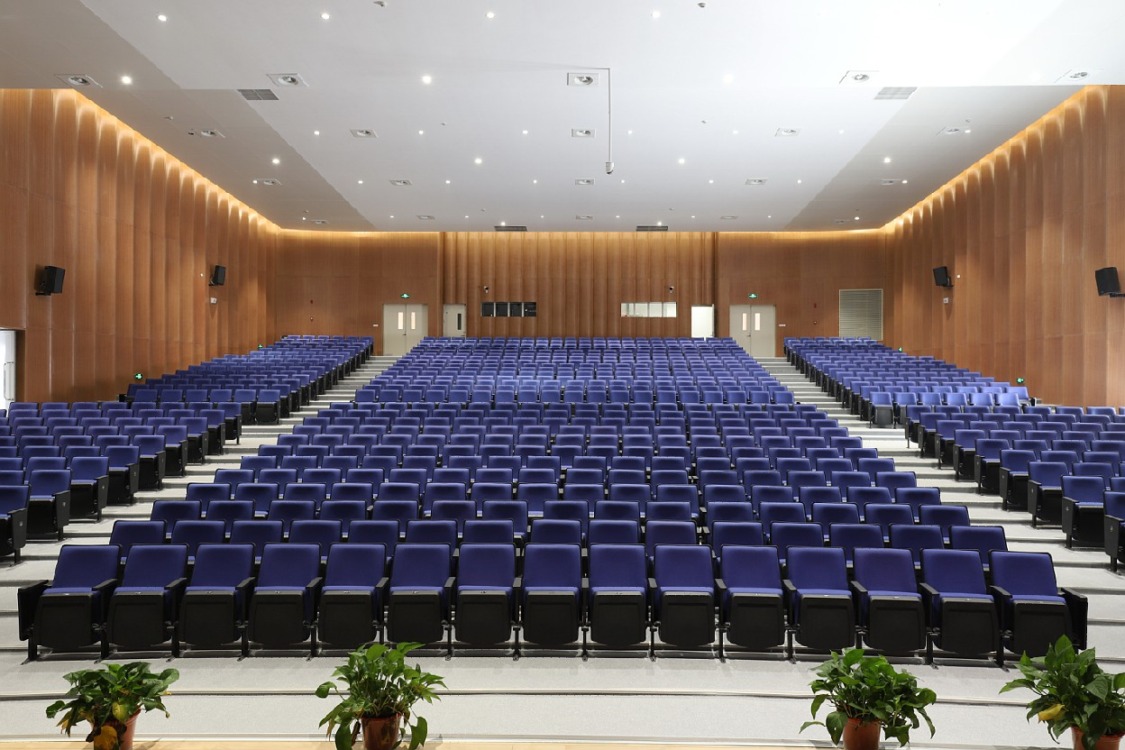 Auditorium seating LS 13601 IMG 3